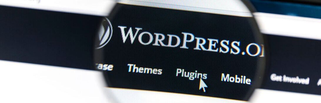 Waarom_Wordpress_website